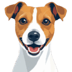 CV Writing Packages
